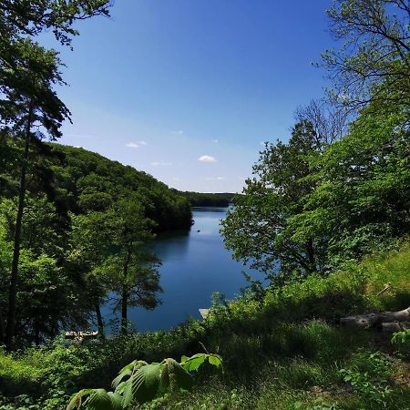 Tweet Tohuus Daire Feldberger Seenlandschaft Dış mekan fotoğraf